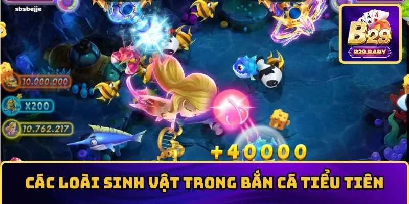 Các loài sinh vật phổ biến có trong săn cá tiểu tiên