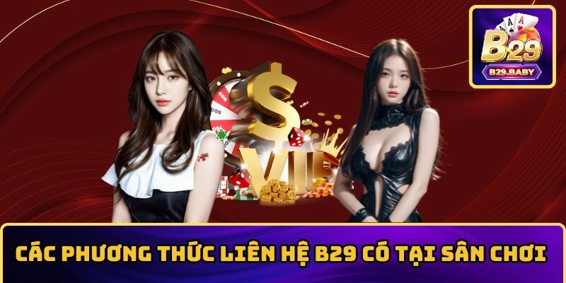 Các phương thức liên hệ B29