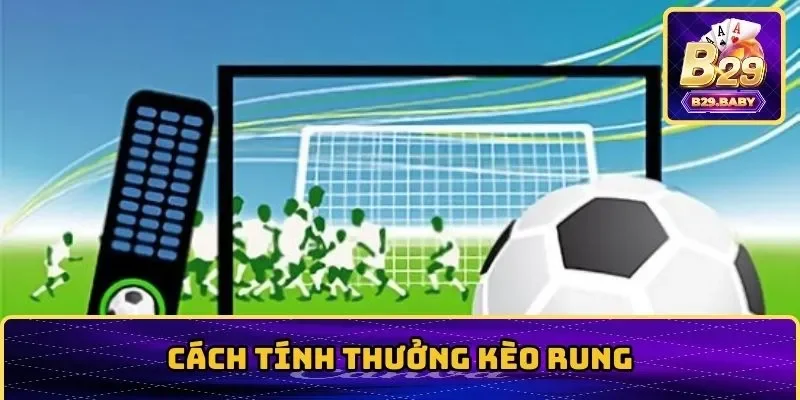 Cách tính thưởng cược rung