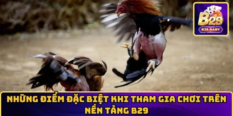 Những điểm đặc biệt khi tham gia chơi trên nền tảng B29