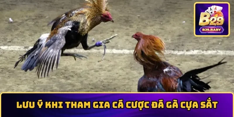 Một số điều cần lưu tâm trước khi đặt cược