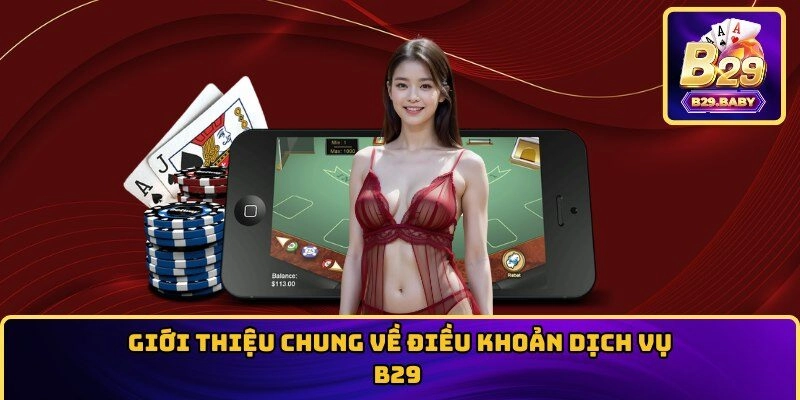 Điều khoản dịch vụ B29 là gì?