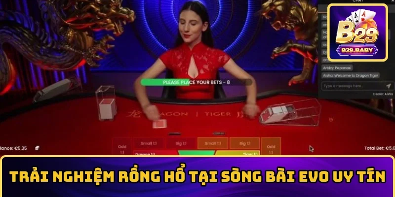 Trải nghiệm Rồng Hổ tại sòng bài EVO uy tín