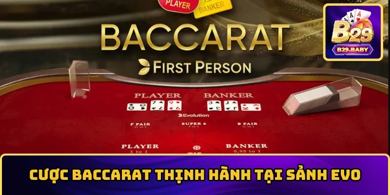 Cược Baccarat thịnh hành tại sảnh EVO