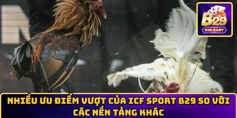 Nhiều ưu điểm vượt của ICF Sport B29