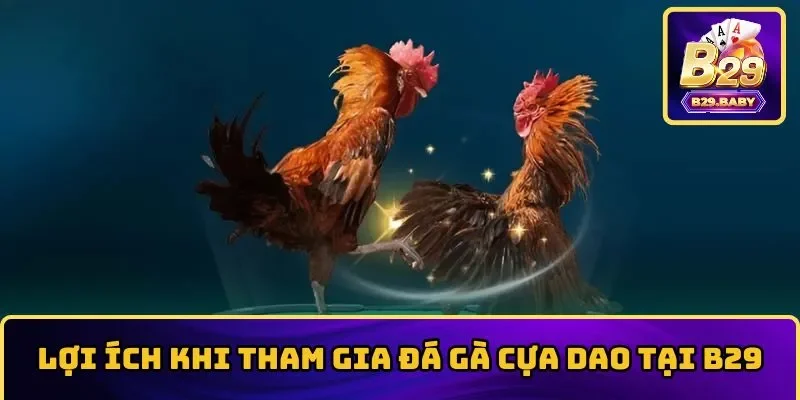 Chi tiết về các giống kê trong các trận đá gà cựa dao nảy lửa