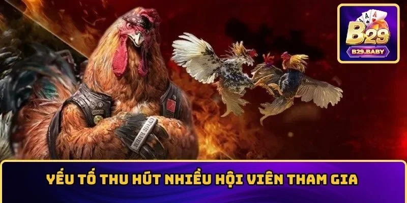 Yếu tố thu hút nhiều hội viên tham gia 