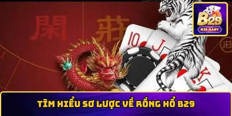 Tìm hiểu sơ lược về Rồng Hổ B29