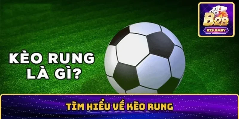 Tìm hiểu về kèo rung