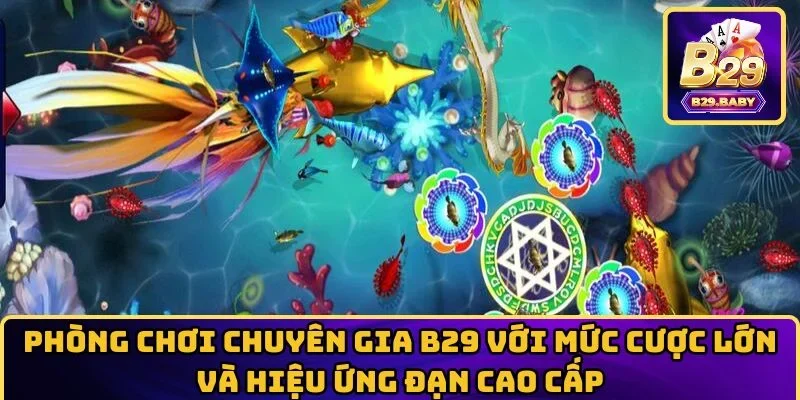Phòng chơi chuyên gia B29 với mức cược lớn